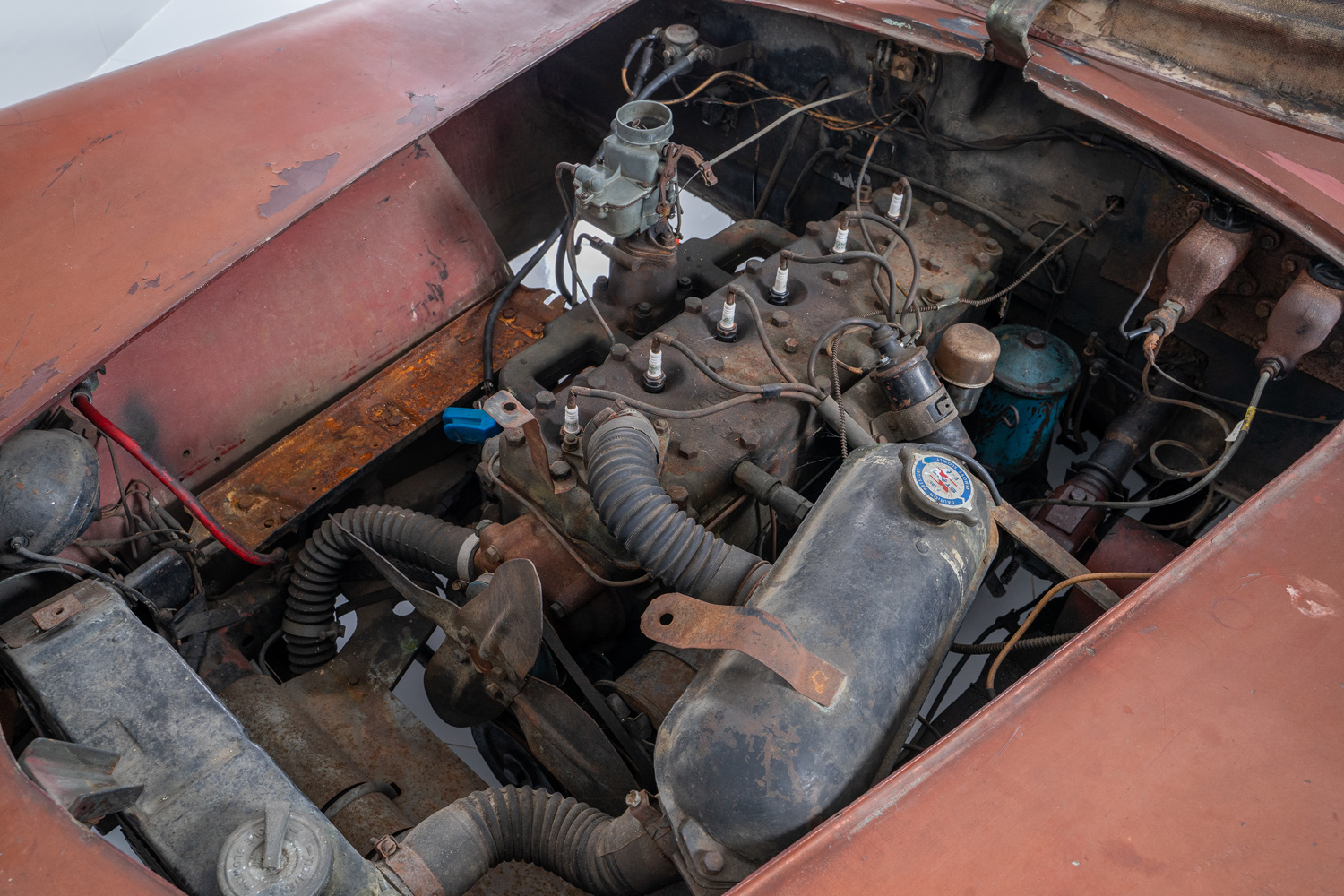 Woodill Wildfire Woodill Wildfire