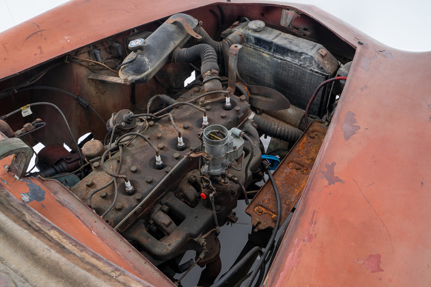 Woodill Wildfire Woodill Wildfire