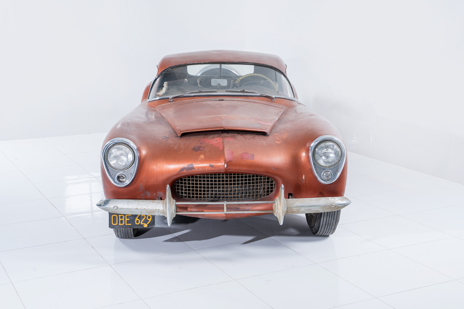 Woodill Wildfire Woodill Wildfire