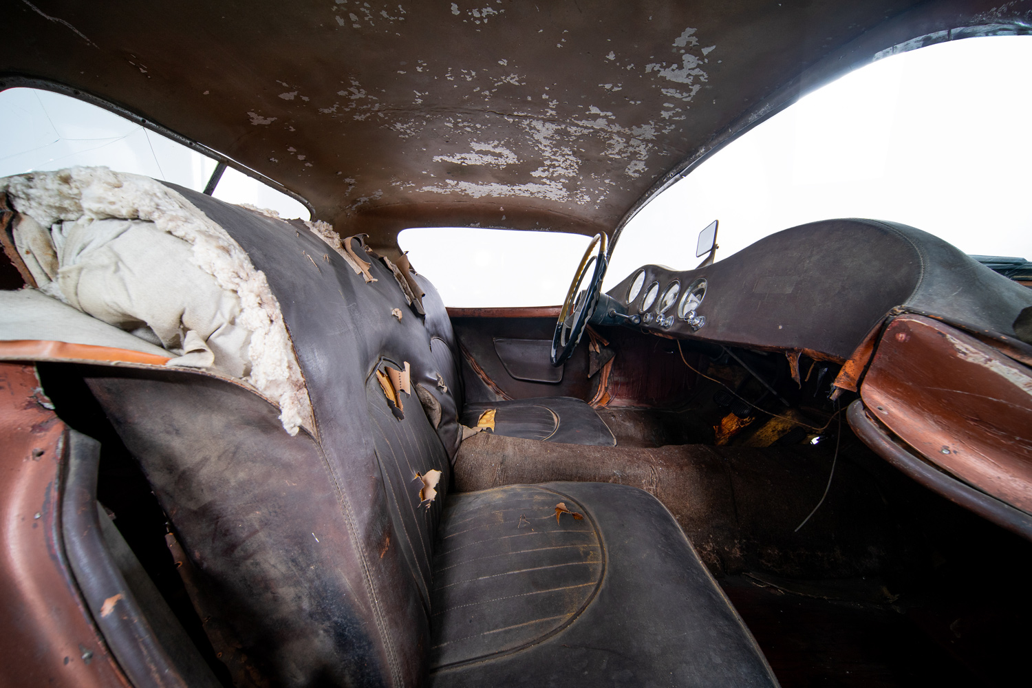 Woodill Wildfire Woodill Wildfire