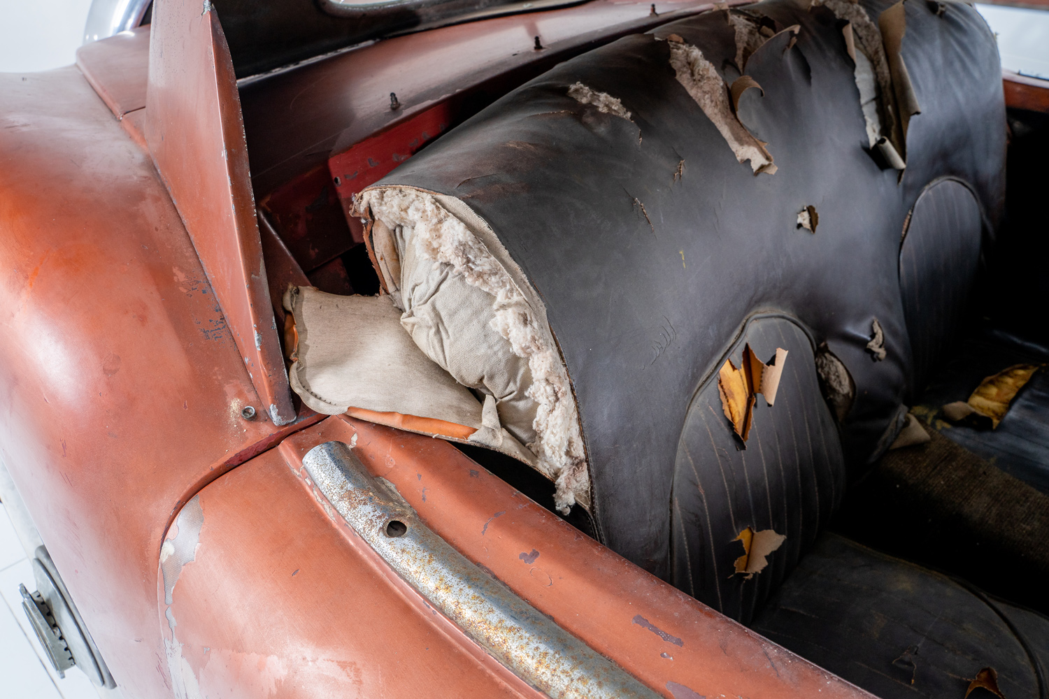 Woodill Wildfire Woodill Wildfire