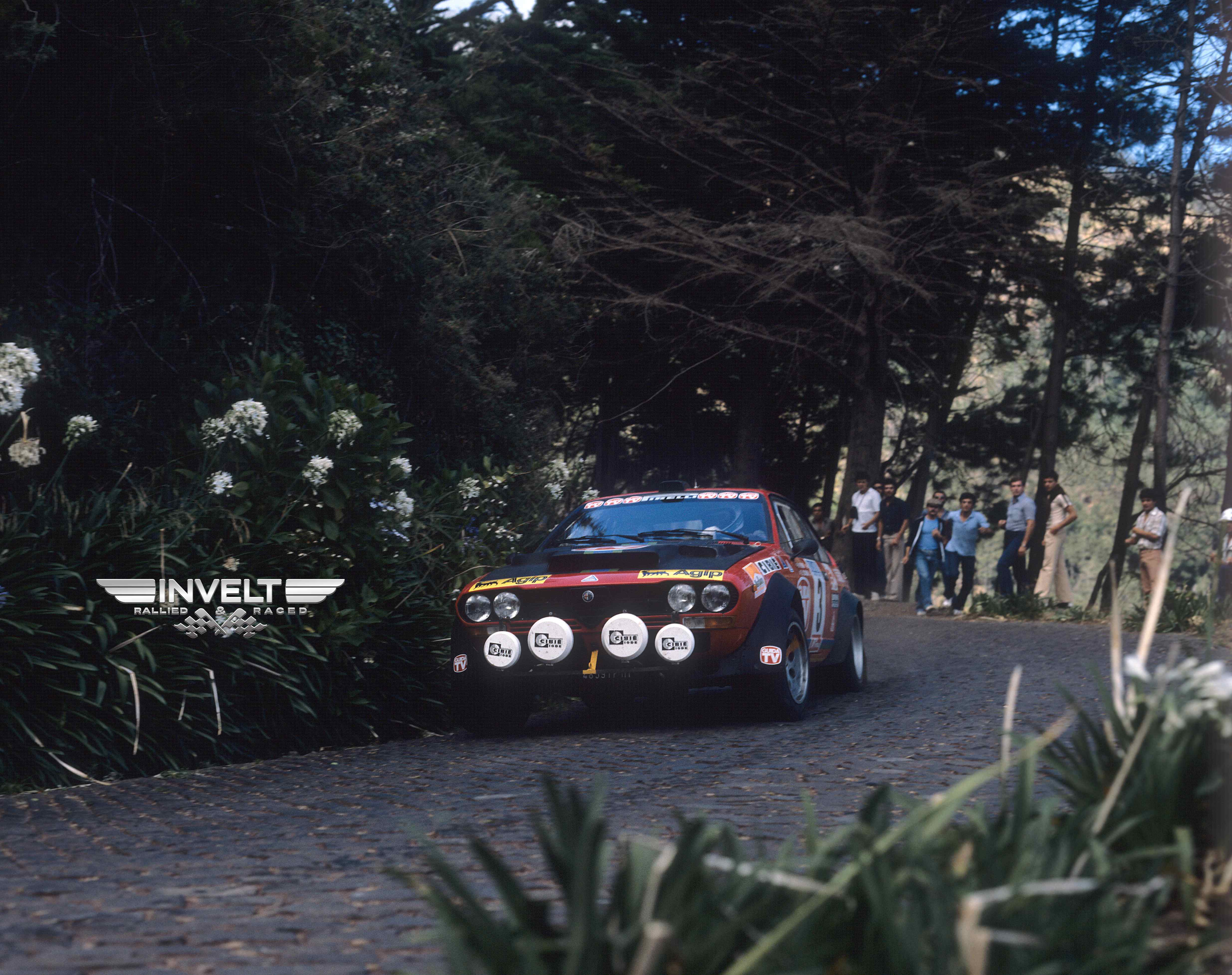 800815Madeira Verini 0004hb.jpg